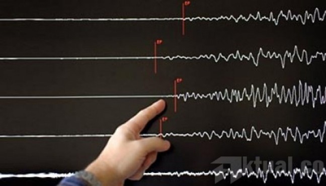 Gempa Flores Timur Terasa Hingga Bali