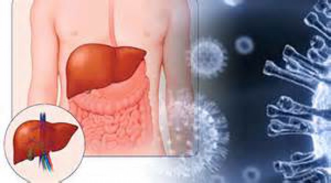 Video Animasi Hepatitis C, Cara Agar Terhindar dari Penyakit