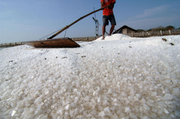 Petani memanen garam di Pamekasan, Madura, Jawa Timur, Sabtu (8/8)