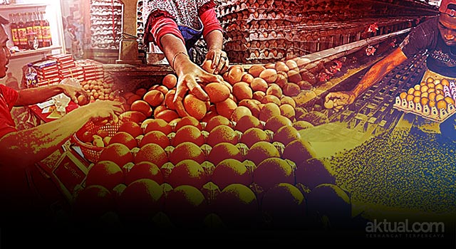HL-11-Juli_Ribut-Harga-Telur---Apa-Kerjanya-Pemerintah