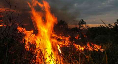 99998-kebakaran-lahan-gambut-di-pekanbaru