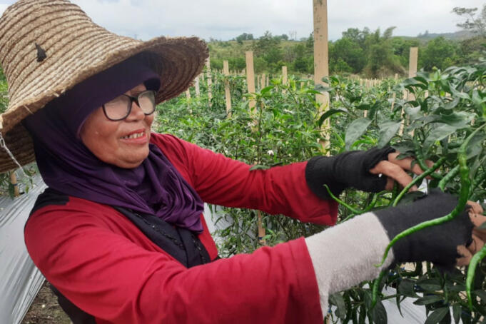 Daya Beli Masyarakat Kepri