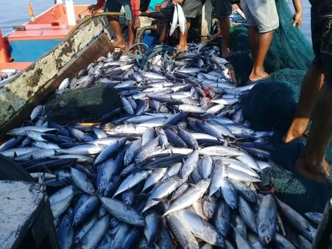 IKAN-INDONESIA