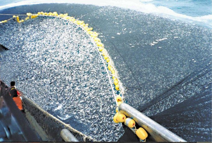 Chilean_purse_seine