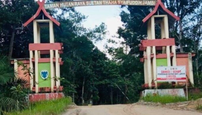 Gerbang Taman Hutan Rakyat Sulthan Thoha Syaifuddin, Batanghari, Jambi Gerbang Taman Hutan Rakyat Sulthan Thoha Syaifuddin, Batanghari, Jambi