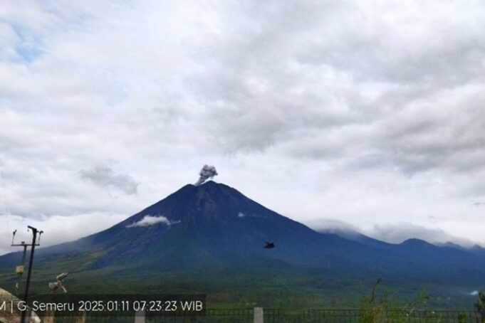 Gunung Semeru erupsi dengan letusan setinggi 600 meter di atas puncak pada Sabtu (11/1/2025) pagi. Gunung Semeru erupsi dengan letusan setinggi 600 meter di atas puncak pada Sabtu (11/1/2025) pagi.
