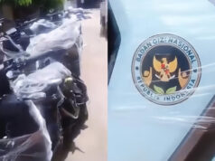Heboh! Puluhan Ribu Motor Listrik untuk SPPG MBG Jabar Viral